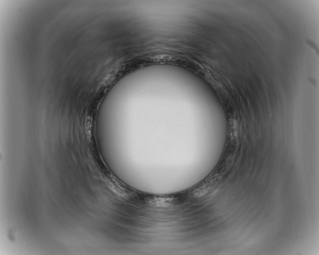 X0000097970664200803241020
