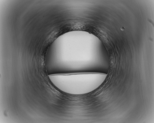 X0000097970665200803241020