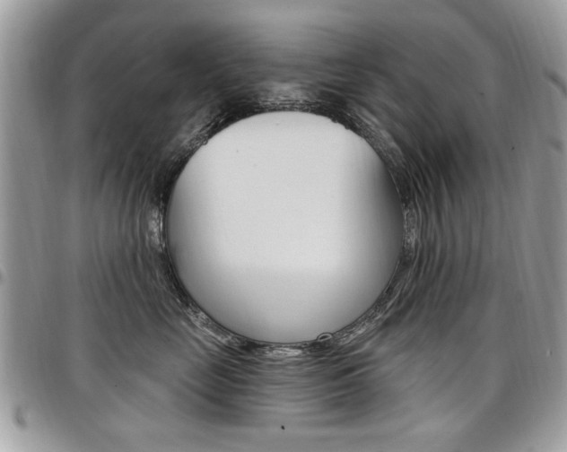 X0000097970669200803241021
