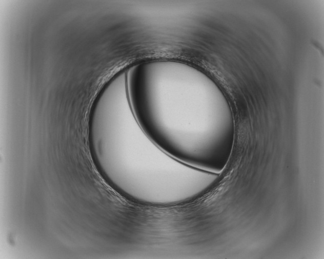 X0000097970673200803241020