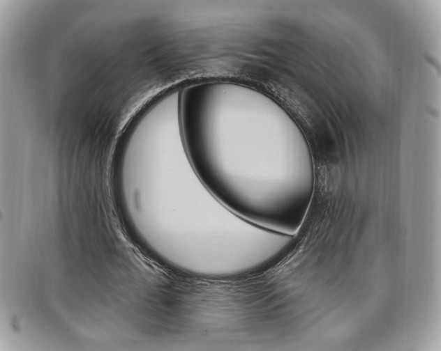 X0000097970676200803241020