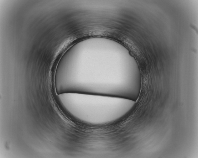 X0000097970678200803241020