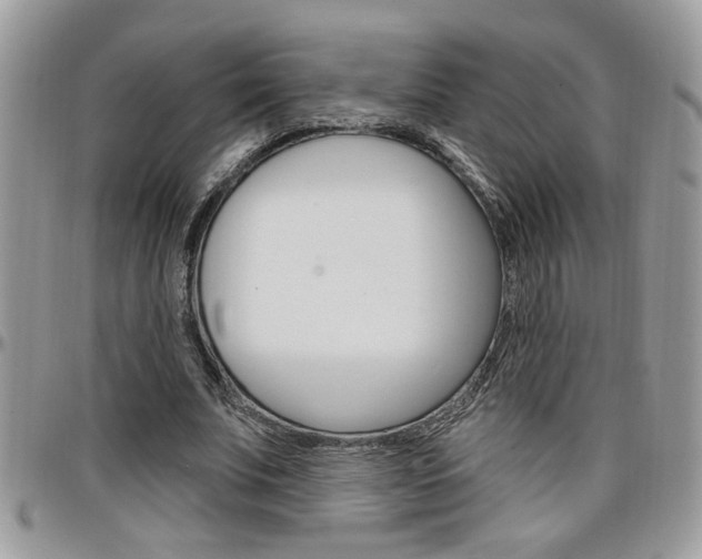 X0000097970679200803241020