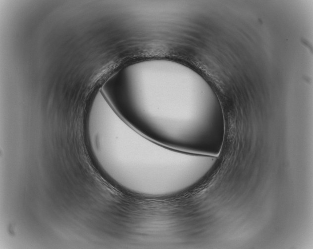 X0000097970681200803241020
