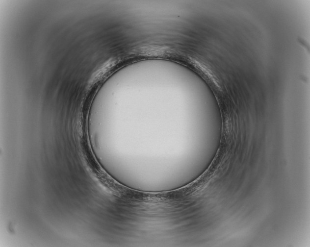 X0000097970682200803241020