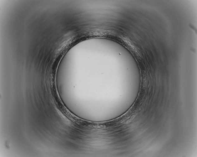 X0000097970683200803241020