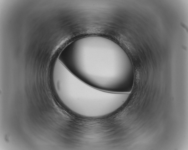 X0000097970684200803241020