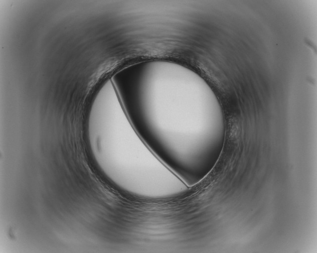 X0000097970685200803241020