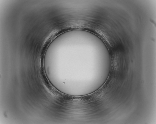 X0000097970686200803241020