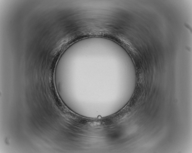X0000097970687200803241020