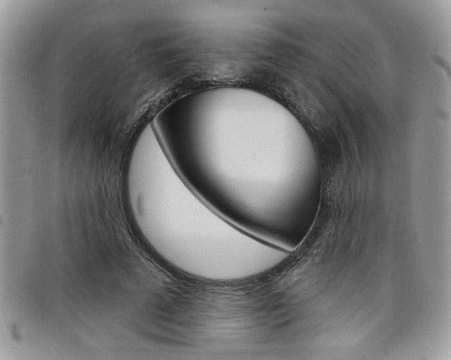 X0000097970689200803241019