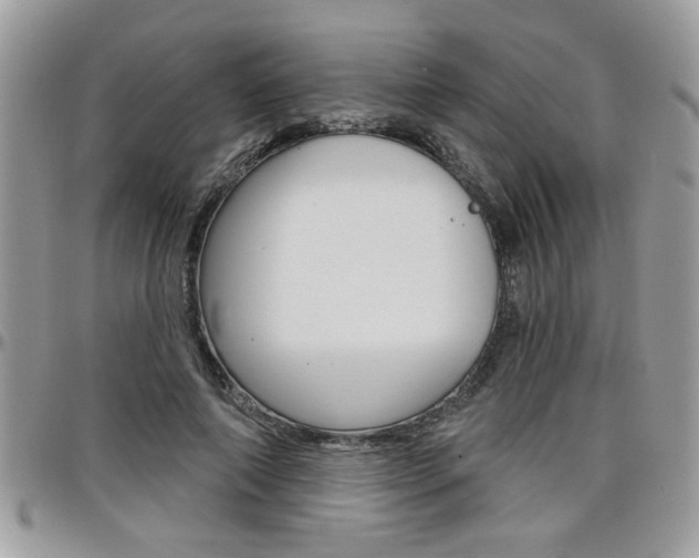 X0000097970690200803241019