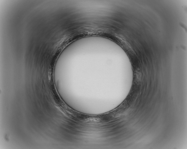 X0000097970691200803241019