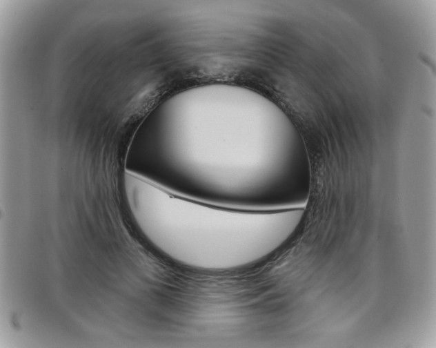 X0000097970693200803241019