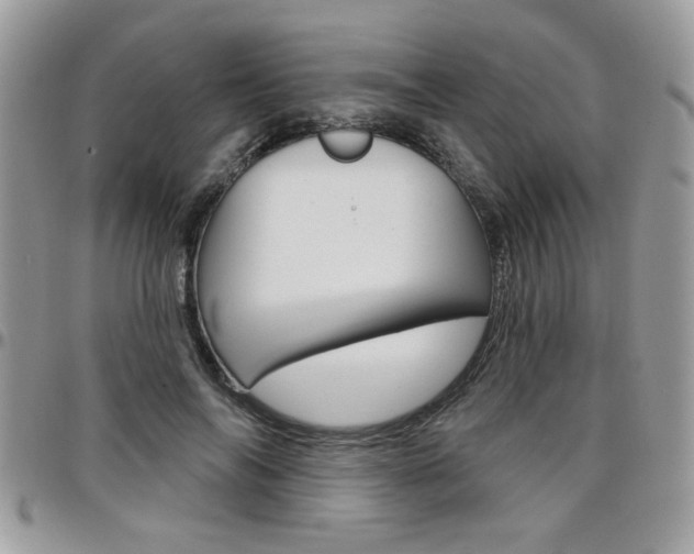 X0000097970694200803241019