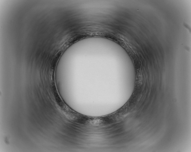 X0000097970695200803241019
