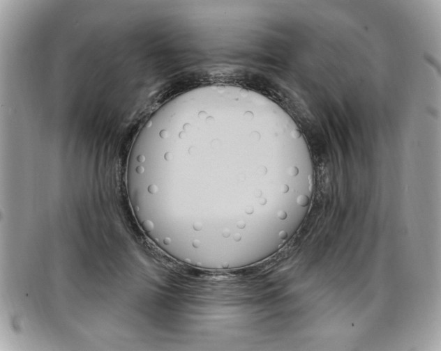 X0000097970698200803241019