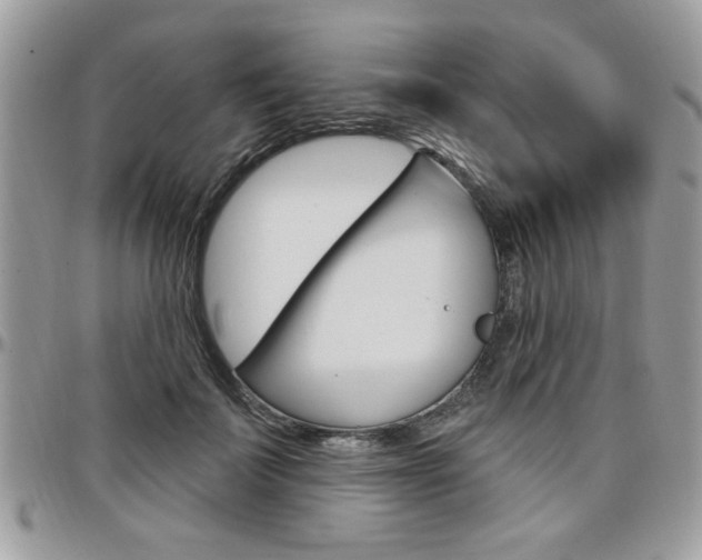 X0000097970699200803241019