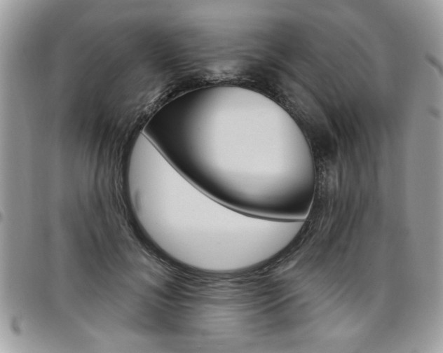 X0000097970700200803241019