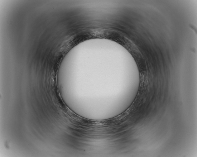 X0000097970702200803241019