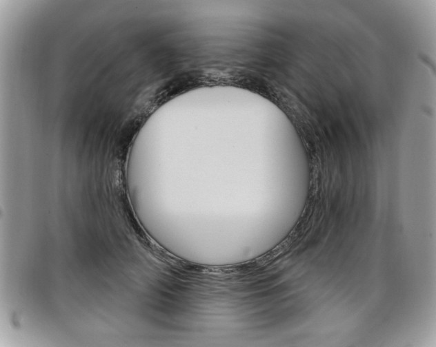 X0000097970706200803241019