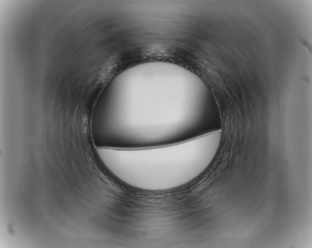 X0000097970708200803241019