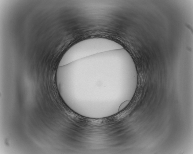 X0000097970709200803241019