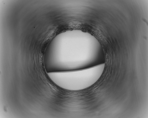 X0000097970712200803241019