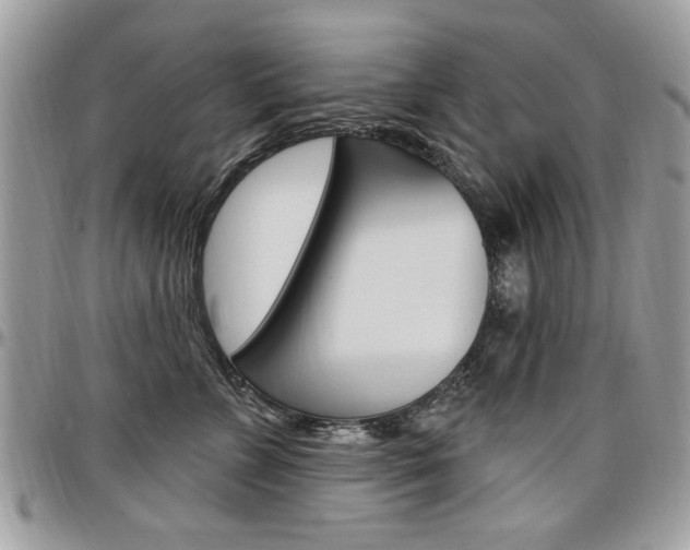 X0000097970715200803241019