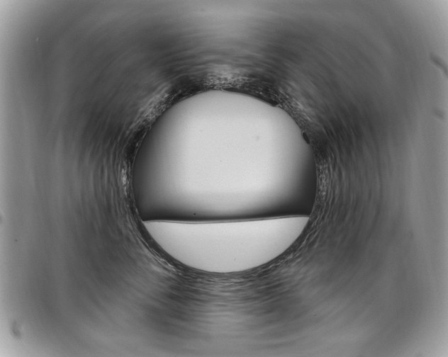 X0000097970716200803241019