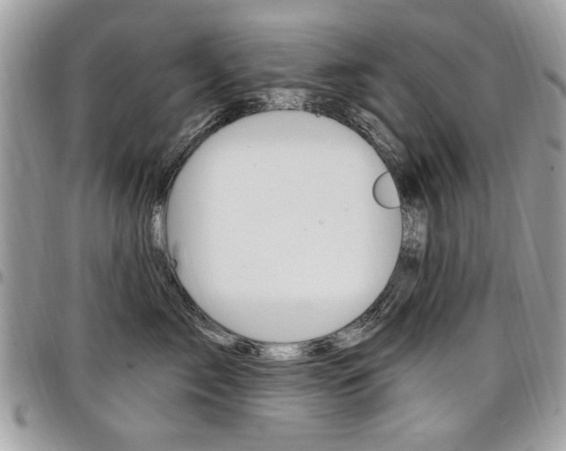 X0000097970717200803241019