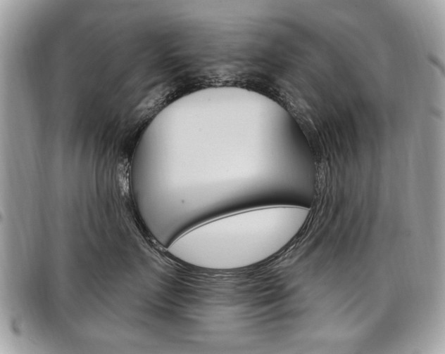 X0000097970719200803241019