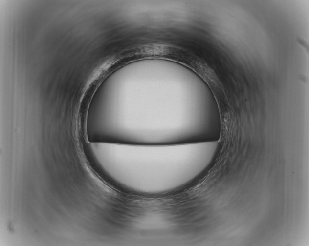 X0000097970726200803241018