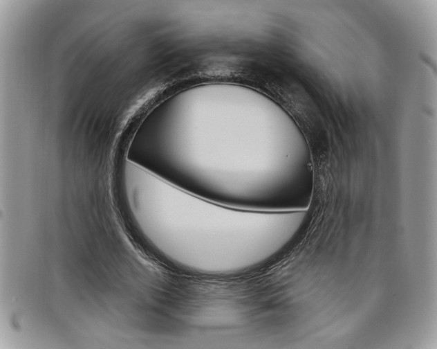 X0000097970728200803241019