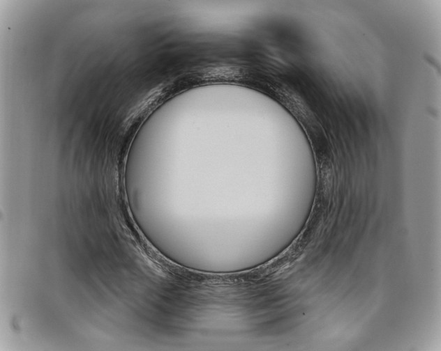 X0000097970729200803241019