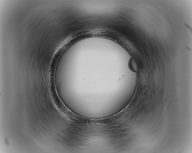 X0000097970730200803241019