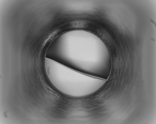 X0000097970731200803241019