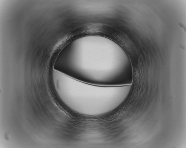 X0000097970732200803241019