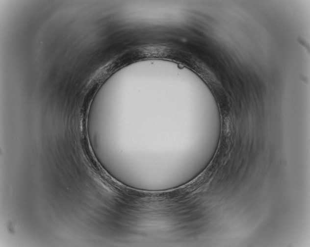 X0000097970733200803241019