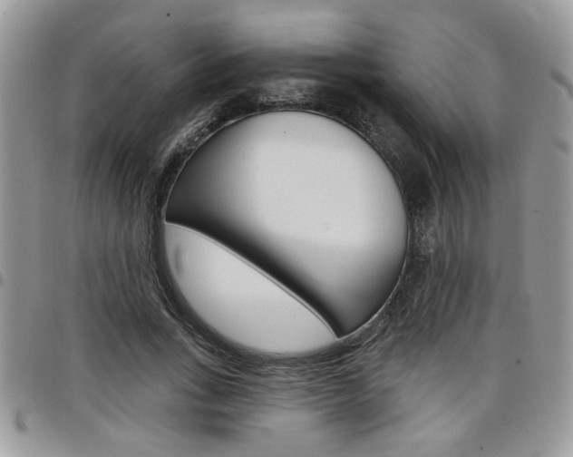 X0000097970735200803241019