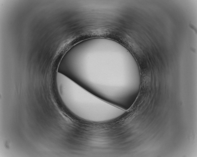 X0000097970736200803241019