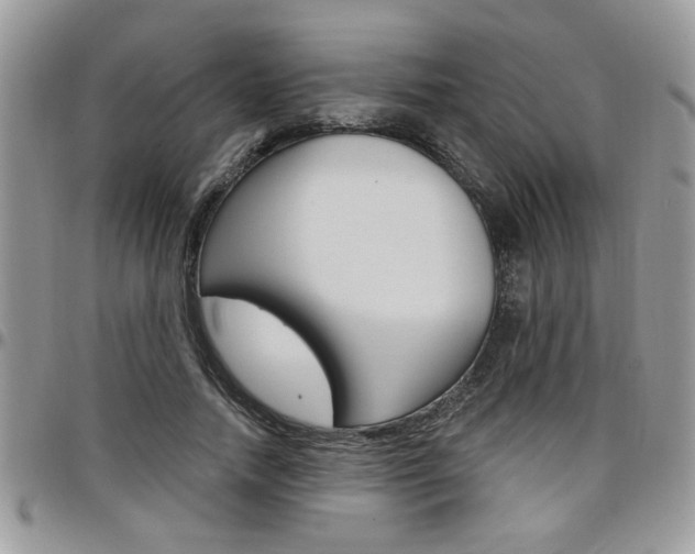 X0000097970738200803241019