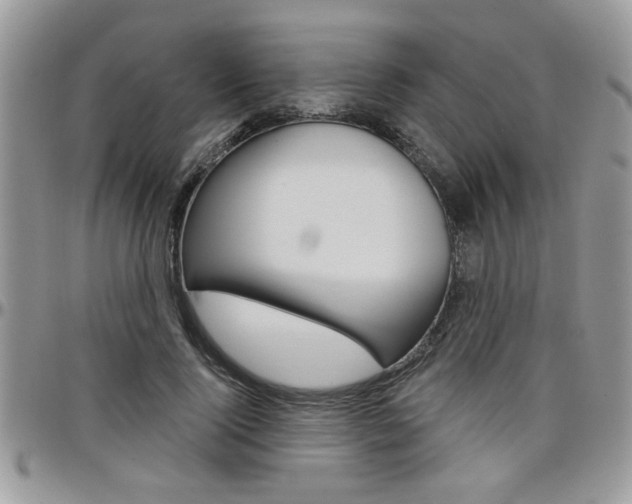 X0000097970740200803241019
