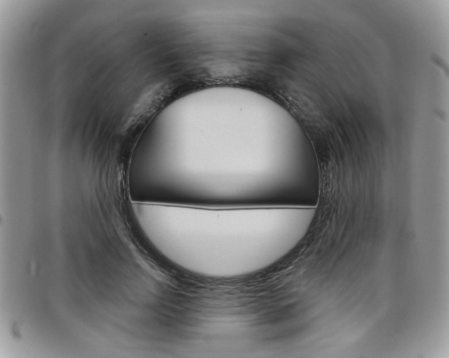 X0000097970742200803241019