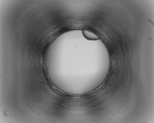 X0000097970745200803241019