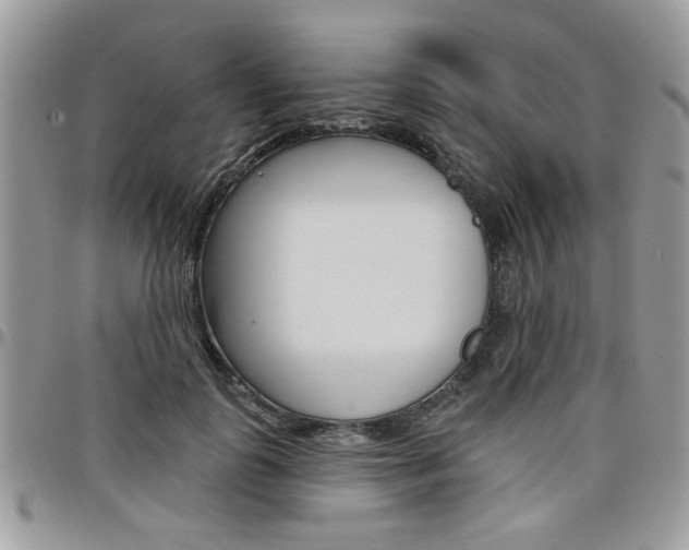 X0000097970747200803241019