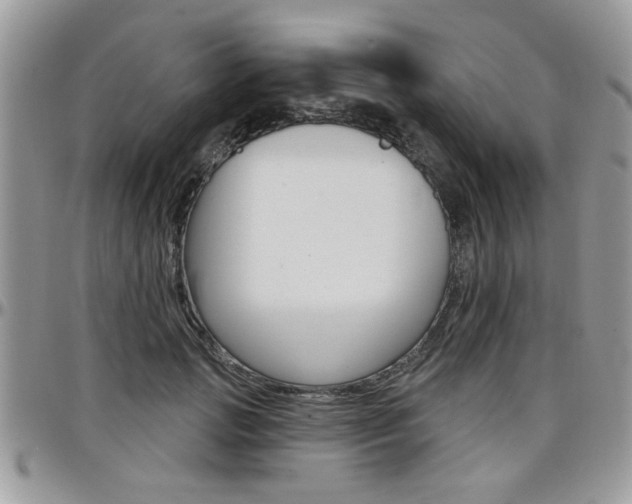X0000097970749200803241019