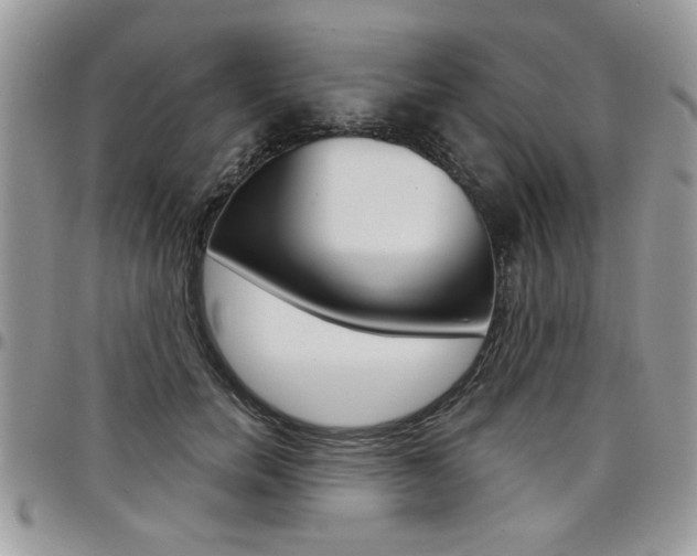 X0000097970750200803241019