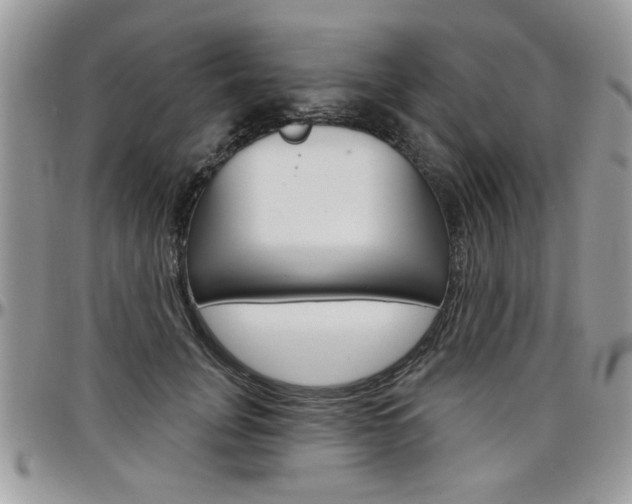 X0000097970751200803241019