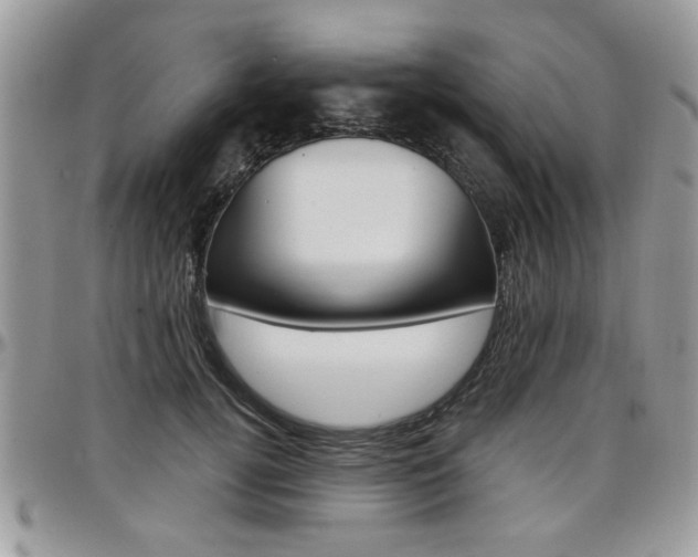 X0000097970752200803241019
